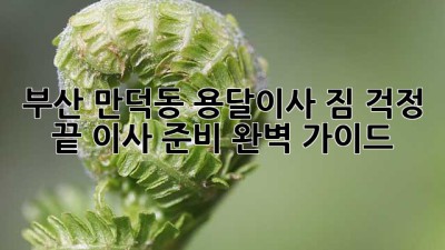 부산 만덕동 용달이사: 짐 걱정 끝! 이사 준비 완벽 가이드