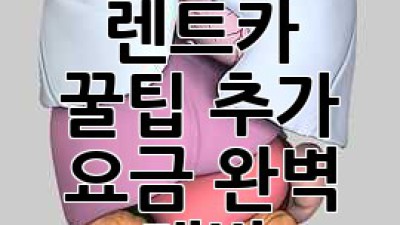 주말 렌트카 꿀팁🍯 추가 요금 완벽 대비!