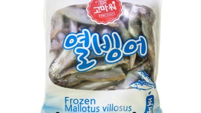 겨울철 별미! 핵꿀팁 가득한 열빙어 쇼핑 후기 ✨