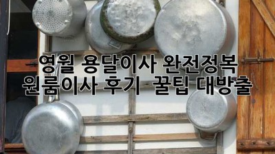 영월 용달이사 완전정복 🚚 원룸이사 후기 & 꿀팁 대방출 ✨